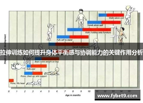 拉伸训练如何提升身体平衡感与协调能力的关键作用分析